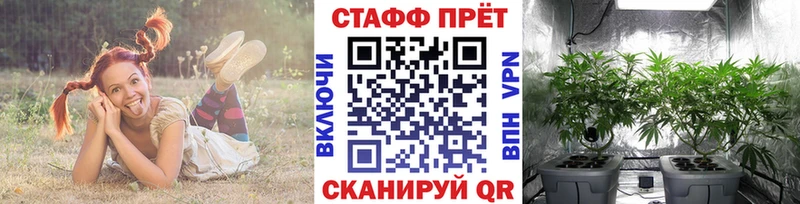 Где купить наркоту Зверево ГАШ  СОЛЬ  БУТИРАТ  ссылка на мегу как войти  Псилоцибиновые грибы  Меф мяу мяу  АМФ  Бошки Шишки 