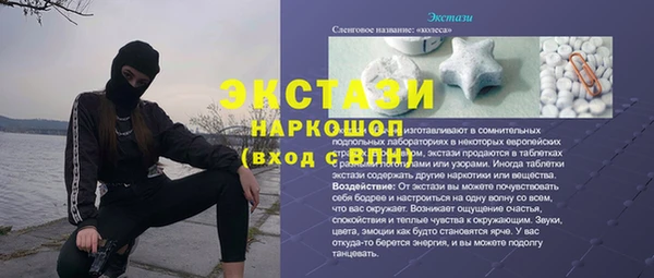 гашик Алексин