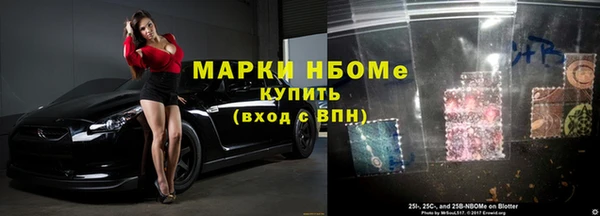 гашик Алексин