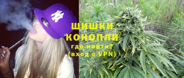 гашик Алексин