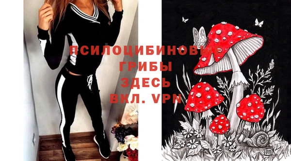 круглые Алзамай