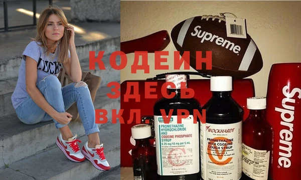 гашик Алексин