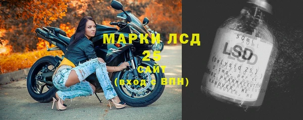гашик Алексин
