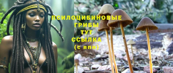 гашик Алексин