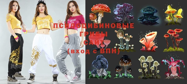 круглые Алзамай