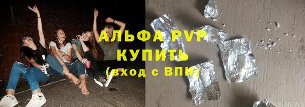 гашик Алексин