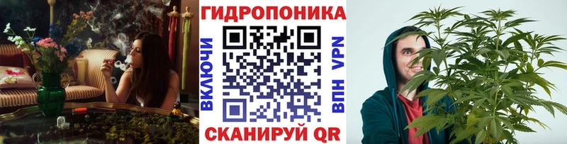 цена   Зверево  Канабис THC 21% 